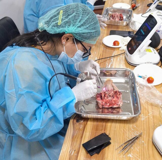 DentalLaserTraining
